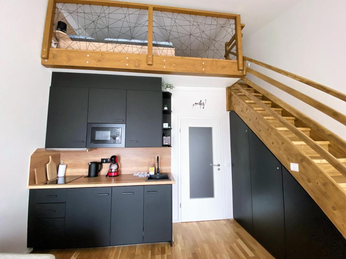 Miky Apartman Klinovec View Loučná pod Klínovcem Eksteriør billede