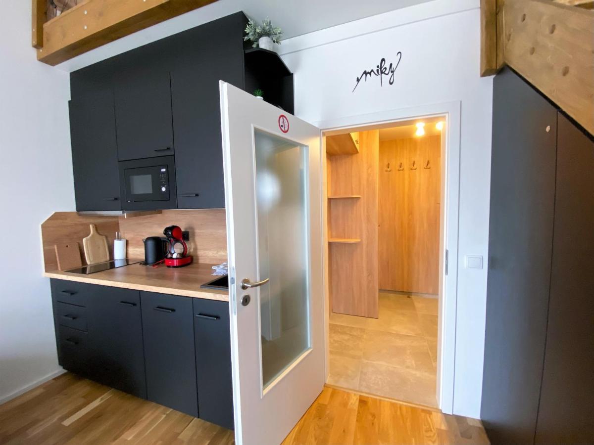Miky Apartman Klinovec View Loučná pod Klínovcem Eksteriør billede
