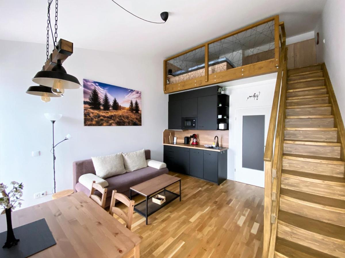 Miky Apartman Klinovec View Loučná pod Klínovcem Eksteriør billede