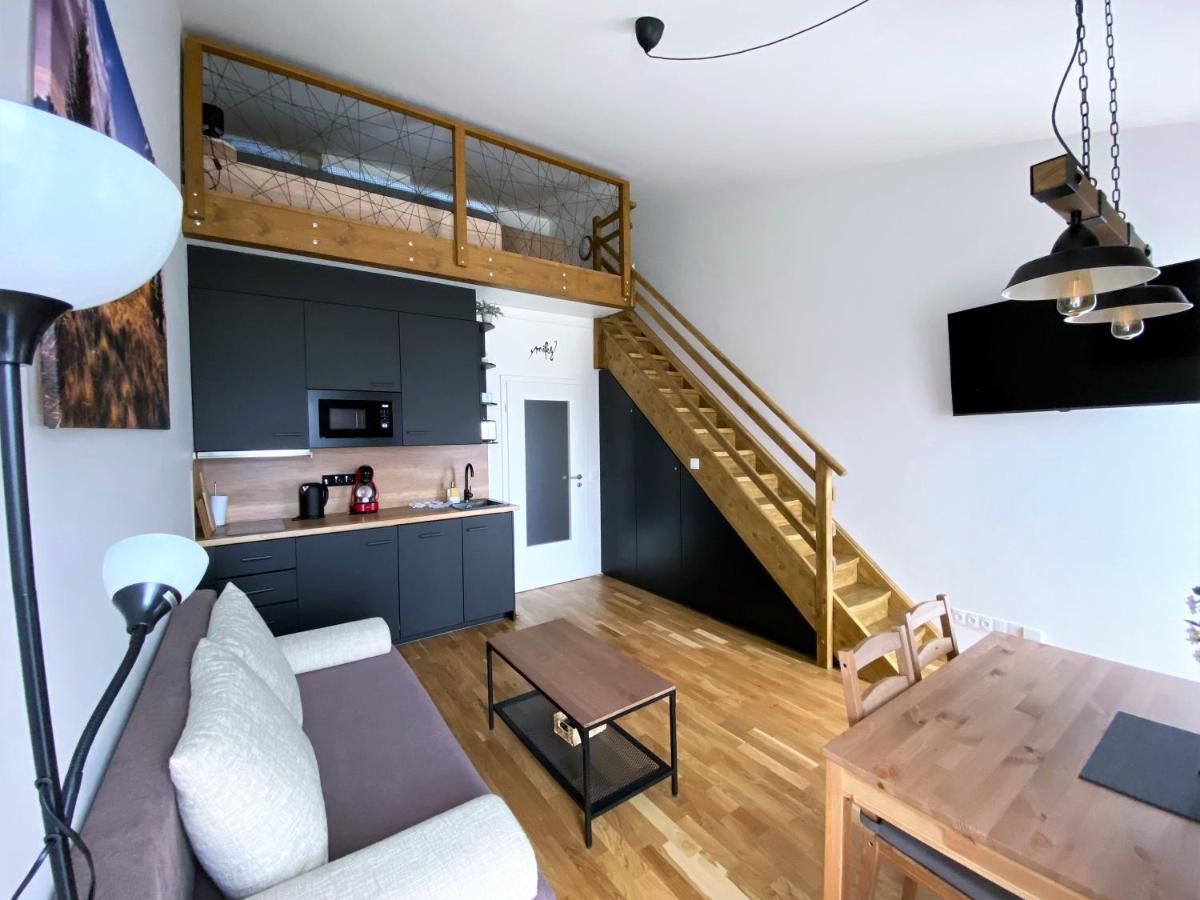 Miky Apartman Klinovec View Loučná pod Klínovcem Eksteriør billede