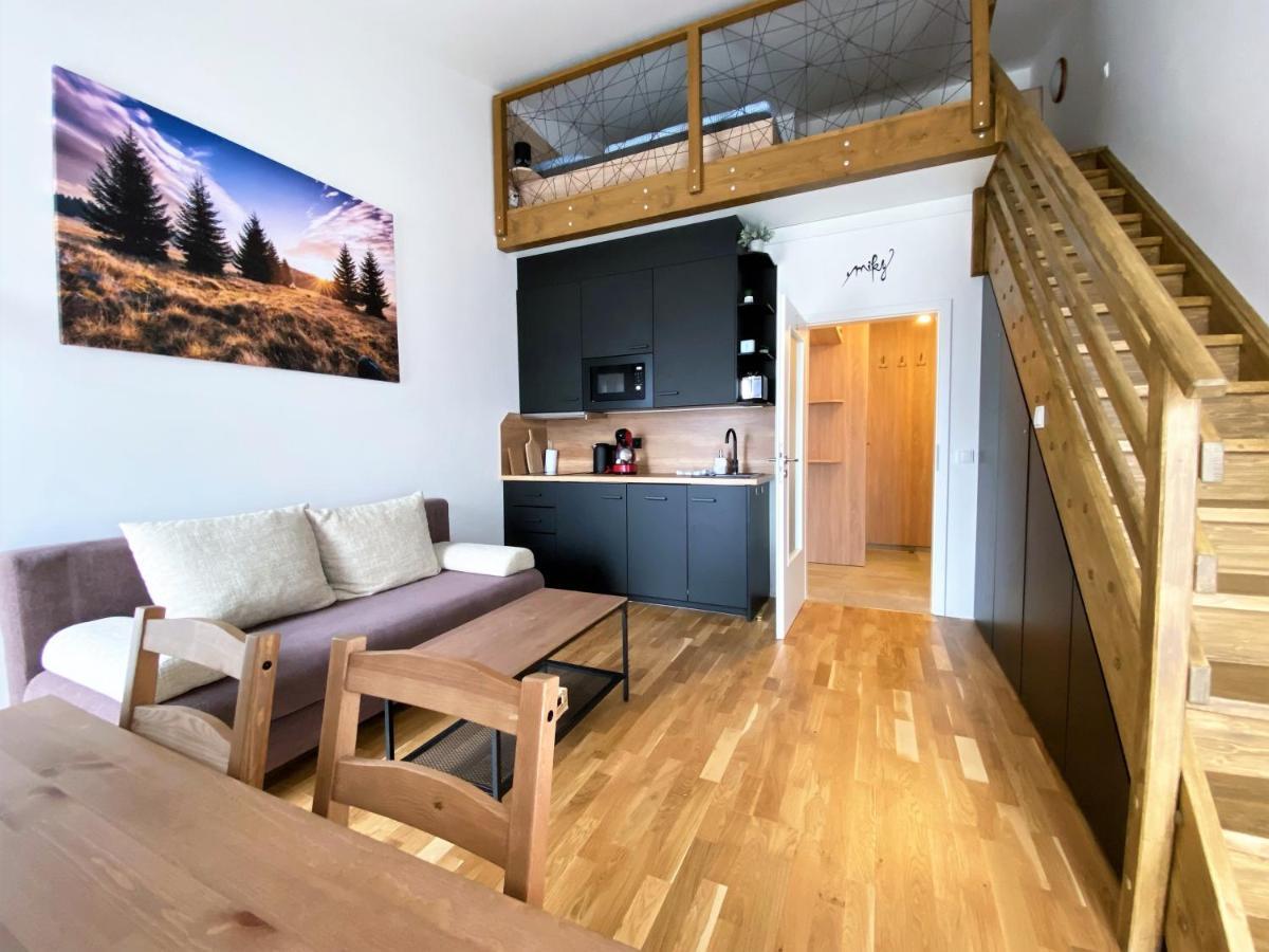 Miky Apartman Klinovec View Loučná pod Klínovcem Eksteriør billede